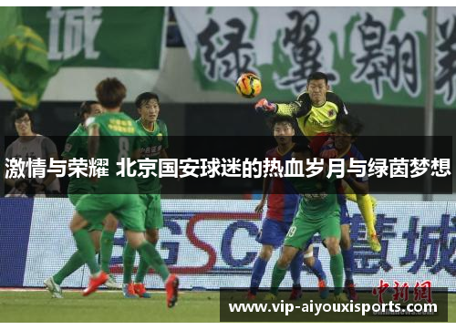激情与荣耀 北京国安球迷的热血岁月与绿茵梦想